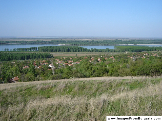 General view